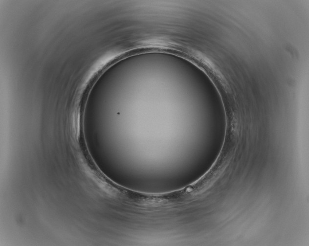 X0000112541323200908171434