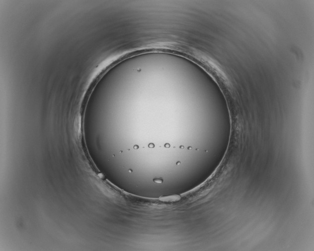 X0000112541324200908171434