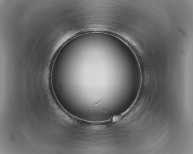 X0000112541325200908171434