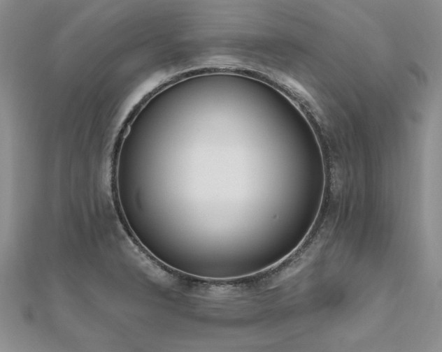 X0000112541326200908171434