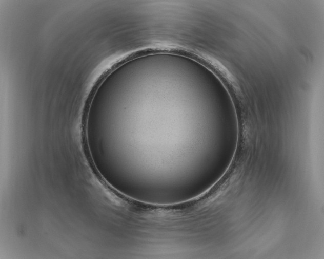 X0000112541327200908171434