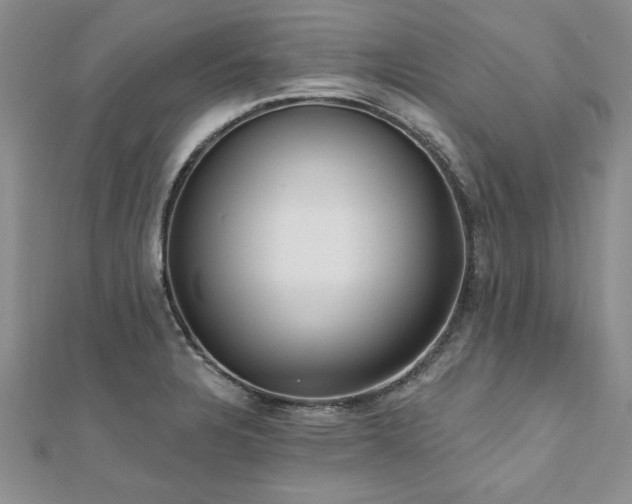 X0000112541328200908171434