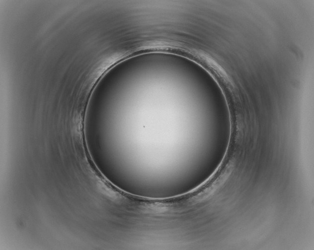 X0000112541329200908171434