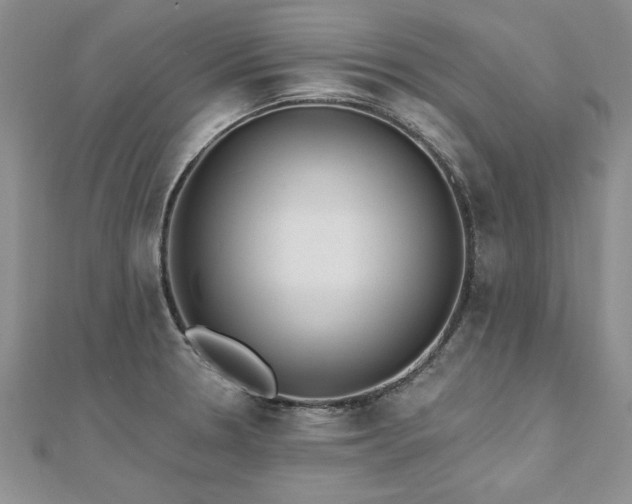 X0000112541330200908171434