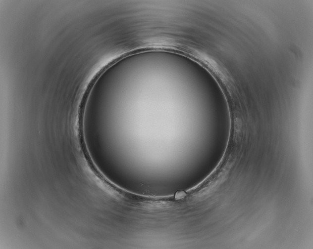 X0000112541331200908171434