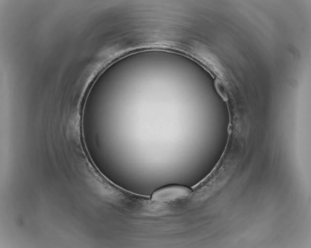 X0000112541332200908171434