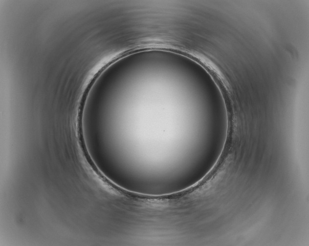 X0000112541333200908171434
