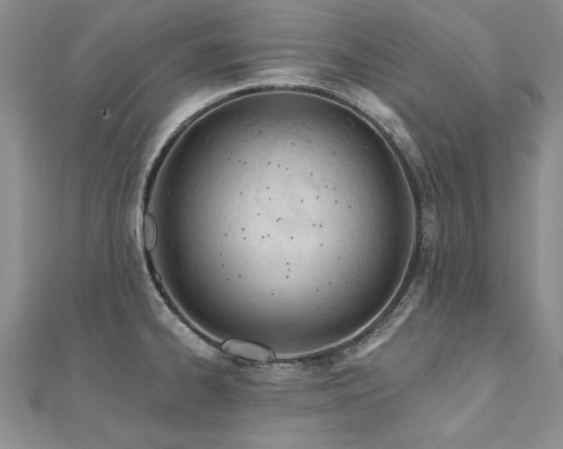 X0000112541334200908171434