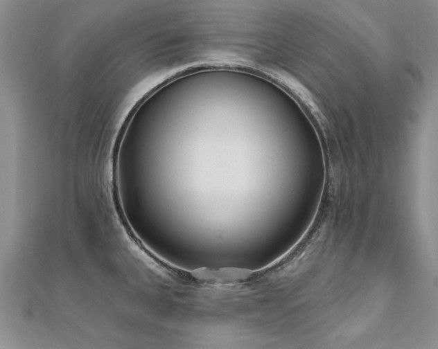 X0000112541335200908171434