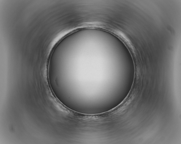 X0000112541336200908171434