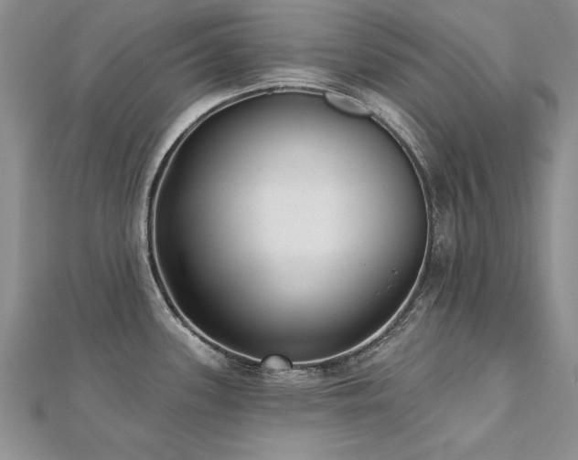 X0000112541339200908171434