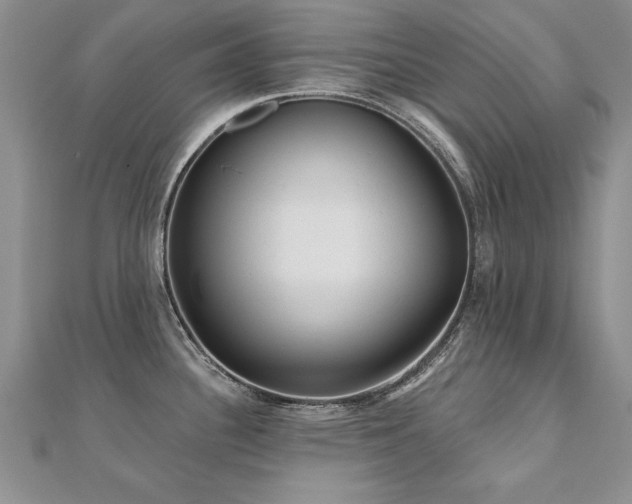 X0000112541340200908171434
