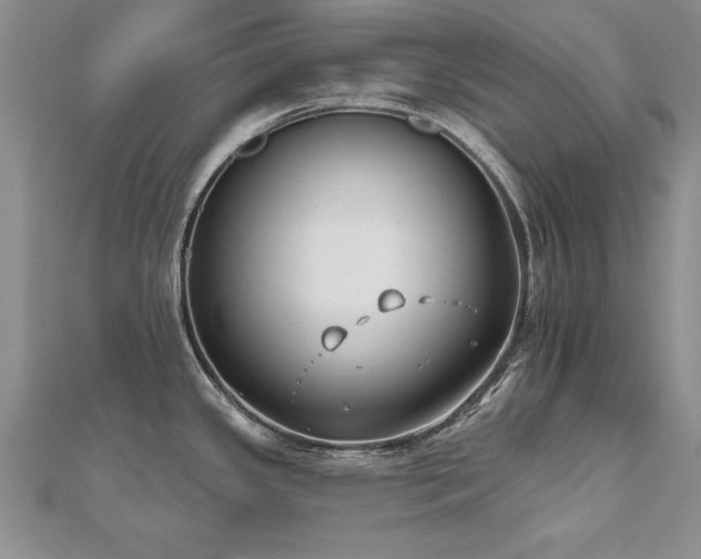 X0000112541341200908171434