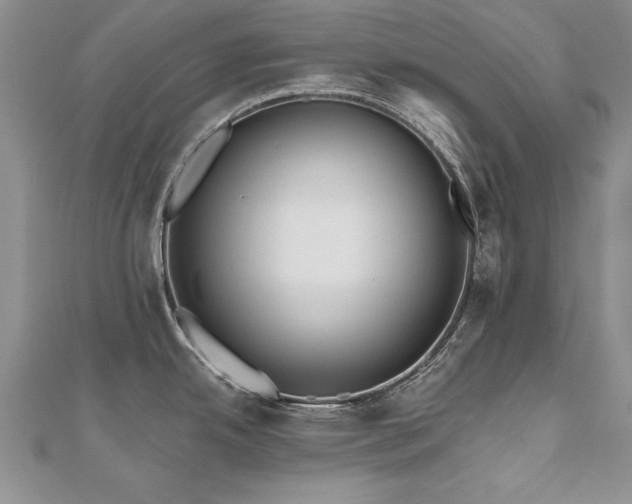 X0000112541342200908171434