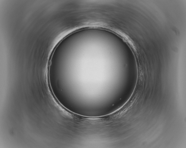 X0000112541343200908171434
