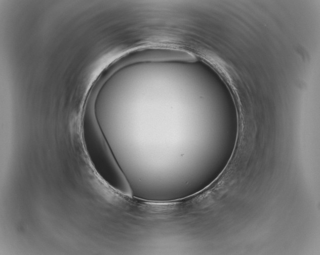 X0000112541344200908171434