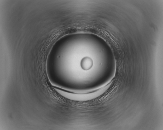 X0000112541345200908171433