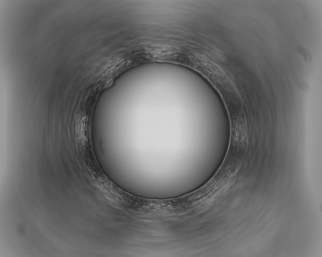 X0000112541346200908171433