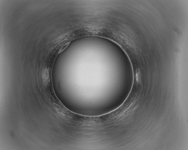 X0000112541347200908171433