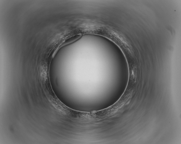 X0000112541348200908171433
