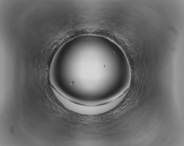 X0000112541349200908171433