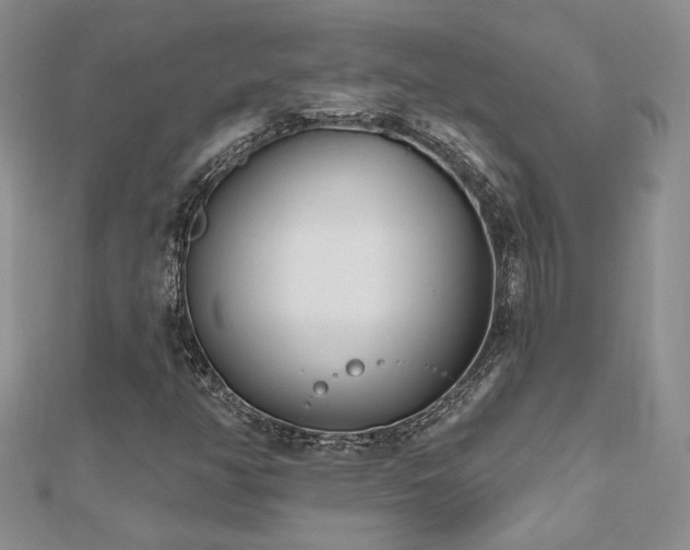 X0000112541350200908171433