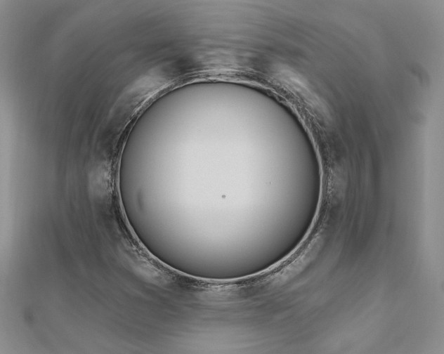 X0000112541353200908171433