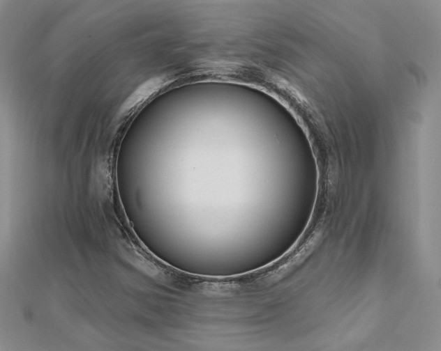 X0000112541354200908171433