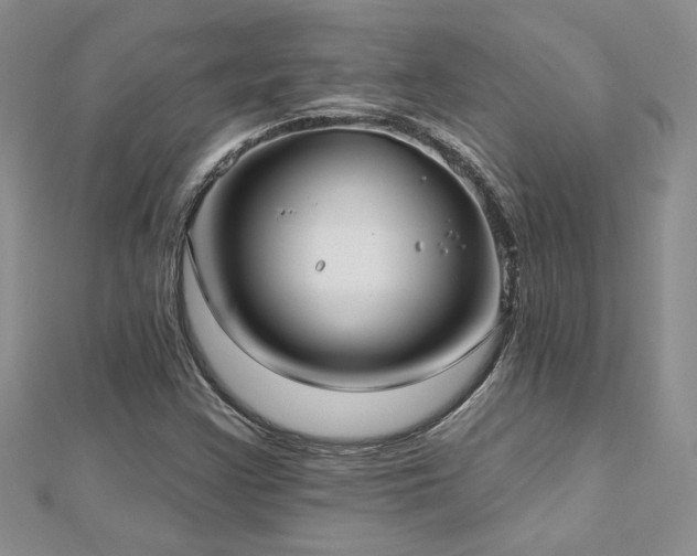 X0000112541355200908171433