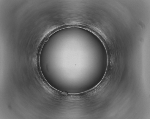 X0000112541356200908171433