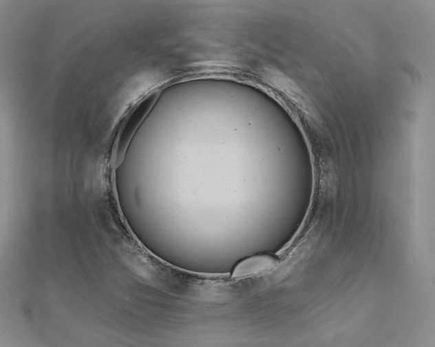 X0000112541357200908171433