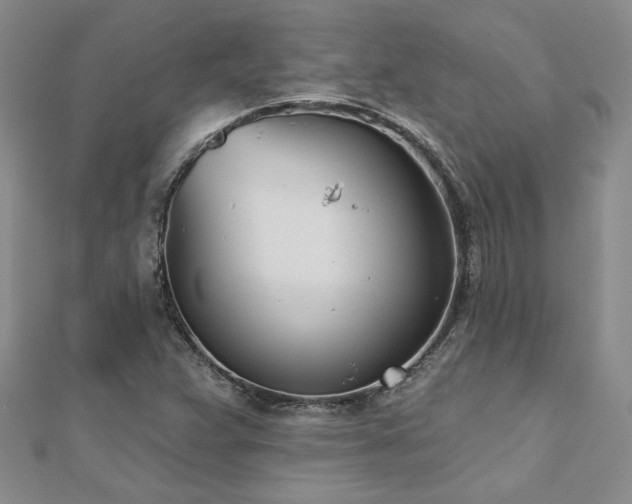 X0000112541359200908171433