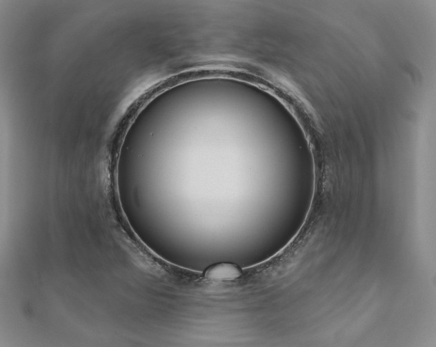 X0000112541360200908171433