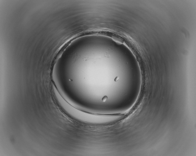 X0000112541361200908171433