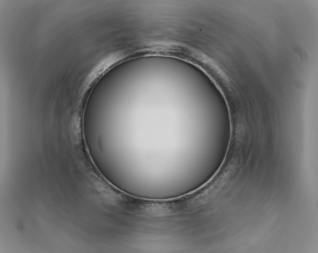 X0000112541362200908171433