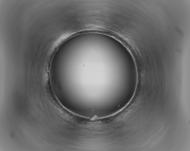 X0000112541363200908171433