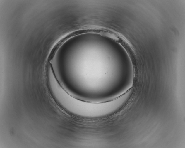 X0000112541364200908171433