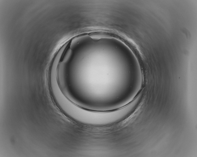 X0000112541365200908171433