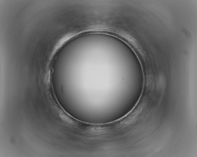 X0000112541366200908171433