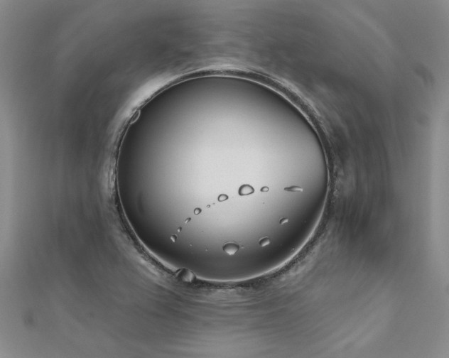 X0000112541367200908171433