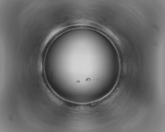 X0000112541368200908171433