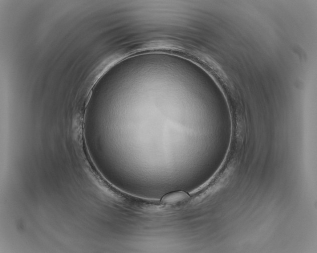X0000112541369200908171433