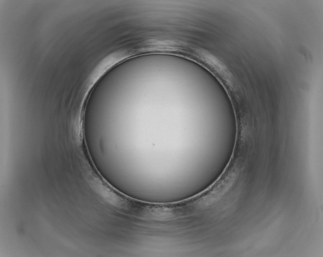 X0000112541370200908171433