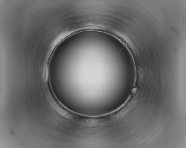 X0000112541371200908171433