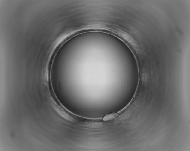 X0000112541372200908171433