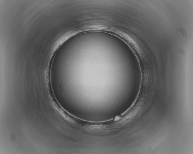 X0000112541373200908171433