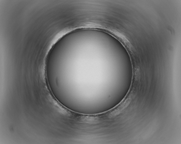 X0000112541374200908171433