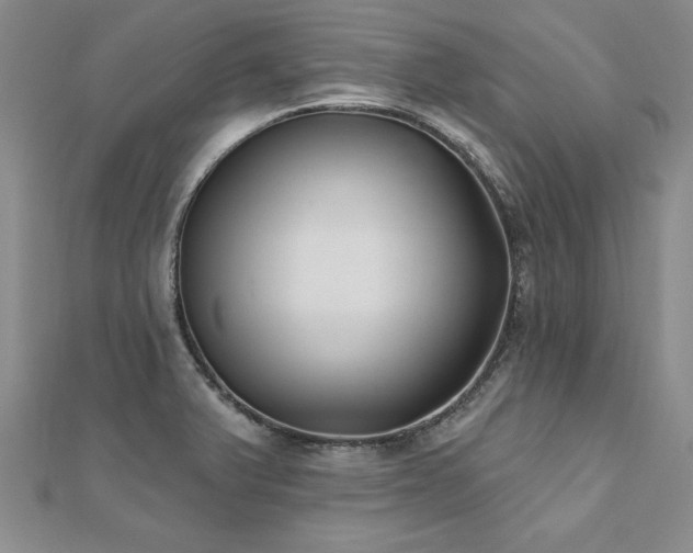 X0000112541375200908171433