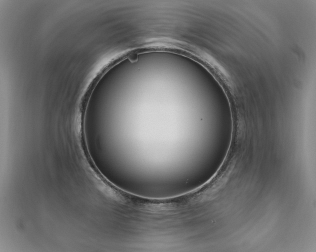 X0000112541376200908171433