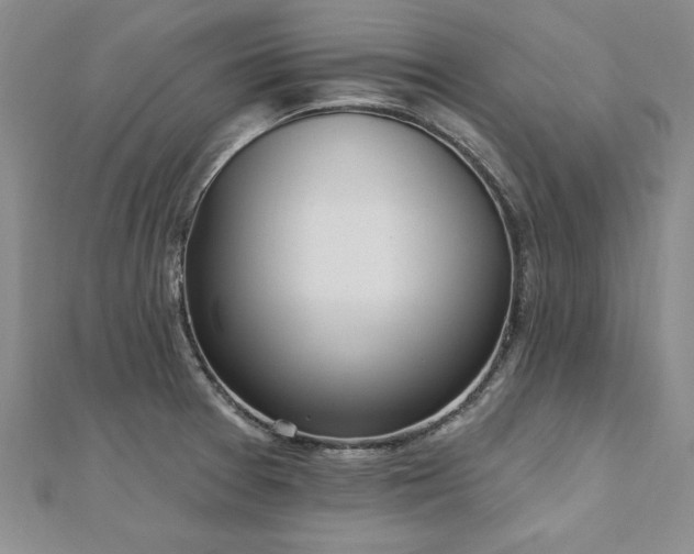 X0000112541377200908171433